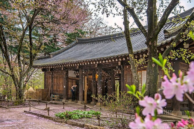 Eobi+Nami+Hanbok Tour with Rail Bike or Strawberry Option - Key highlights to clock before you go