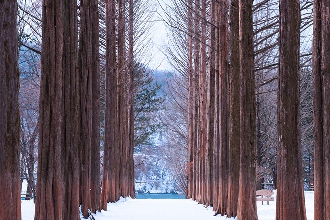 Eobi Valley(Winter), Strawberry, Nami Island & Railbike fr Seoul - Seoul to Nami Island: the idea behind the perfect “escape” day