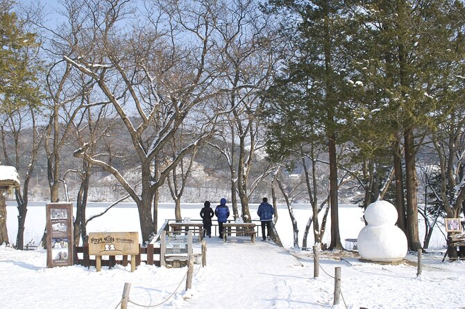 Eobi Valley(Winter), Strawberry, Nami Island & Railbike fr Seoul - Eobi Ice Valley in winter: 40 minutes of ice photos and quick stops