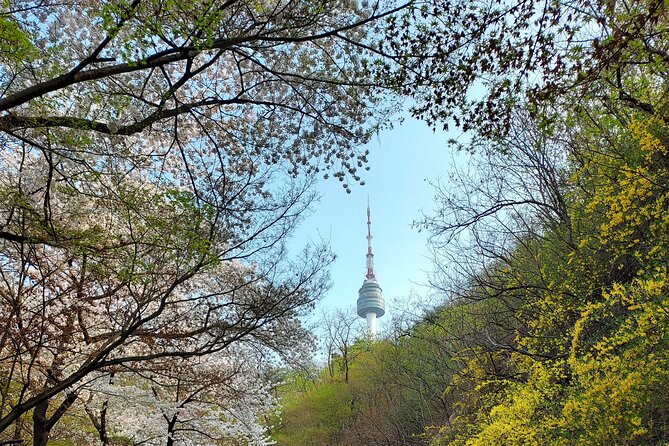Essence of Seoul, 100% Private Full Day City Tour - Jogyesa Temple: Living Buddhism in the Middle of Town