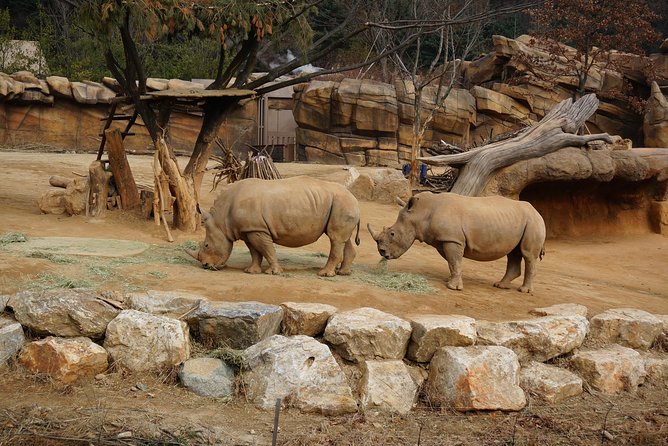 EVERLAND "From Hotel to Hotel" [Premium Private Tour: Only One Group for You] - T-Express and Lost Valley: where thrill rides meet eco-safari style