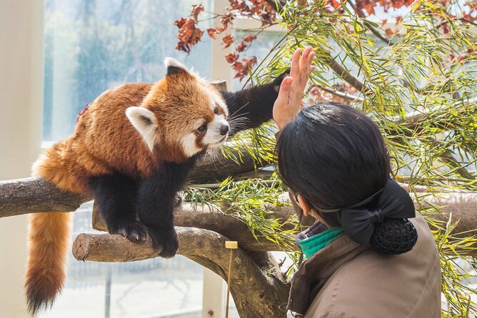 Everland Theme Park Admission Ticket with Transfer from Seoul - Seoul pickup and timing that keep your day from unraveling