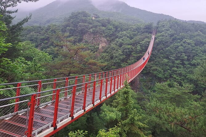 Explore DMZ from Seoul +(optional) Gondola/Red Suspension Bridge - Quick hits before you go