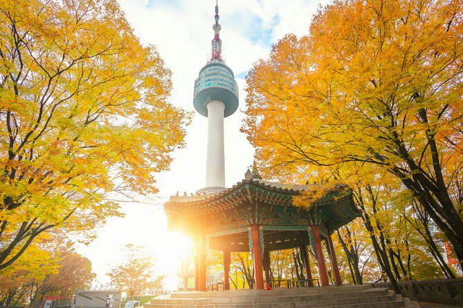 Flexible Private Guided Tour in Seoul (Optional Incheon Layover) - Gyeongbokgung Palace: Joseon-era power and the best photo angles