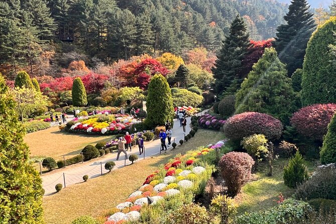 Four Seasons of Nami Island with Garden of Morning Calm Tour - Dak Galbi on the Move: What You’ll Eat and How to Get the Most From the Meal Stop