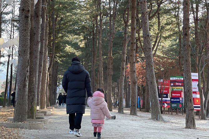 Four Seasons of Nami Island with Garden of Morning Calm Tour - The Brief Ginseng Stop: 30 Minutes at 청하고려인삼(주)