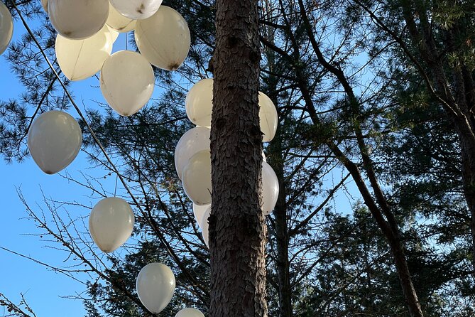 Four Seasons of Nami Island with Garden of Morning Calm Tour - Petit France and the Extra Sightseeing Time You May See