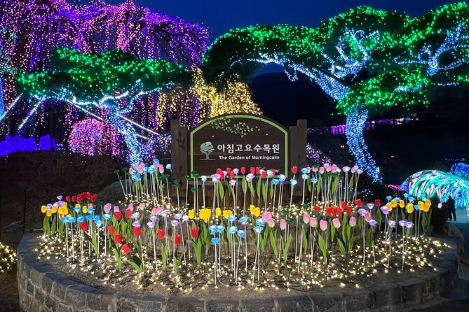 Four Seasons of Nami Island with Garden of Morning Calm Tour - Nami Island: Half-Moon Walks, Underground Wires, and Why It Looks the Way It Does