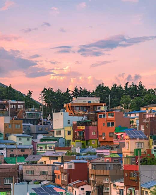 From Busan: Busan & Gyeongju One Day Tour - Daereungwon Tomb Complex and the Three Kingdoms Focus
