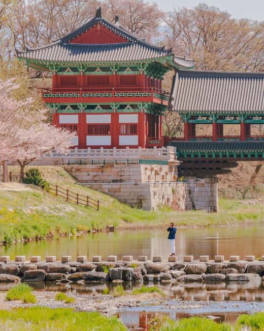 From Busan: Busan & Gyeongju One Day Tour - Cheongapo, Then Back to Busan: Why the Coast Ending Works