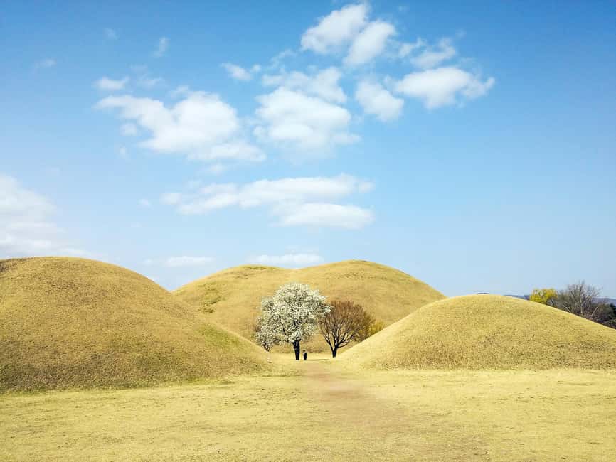 From Busan: Busan & Gyeongju One Day Tour - Price and Value: What $84 Really Buys You