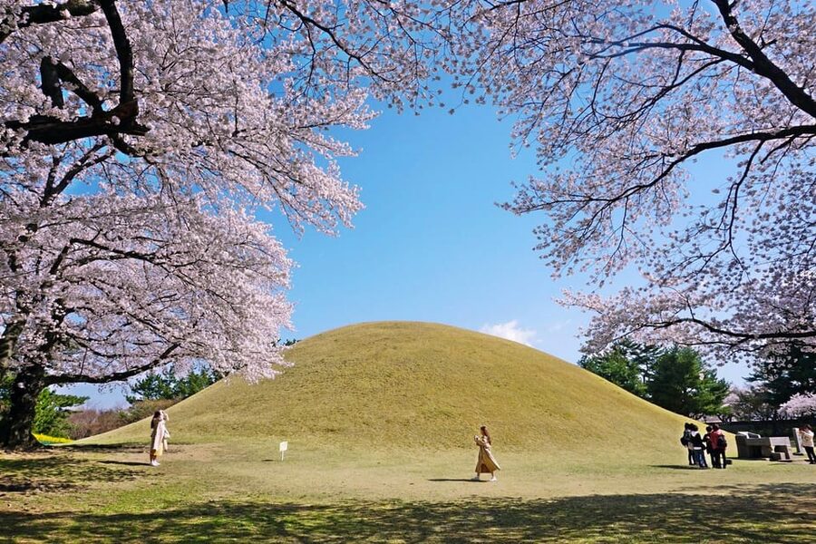 From Busan: Echoes of Silla Gyeongju Historical Day Tour - Donggung Palace and Wolji Pond: the evening views that sell the tour