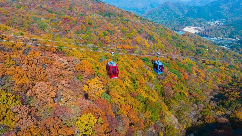 From Busan: Enchanting Oedo Island Day Tour with Windy Hill - Key things to know before you go