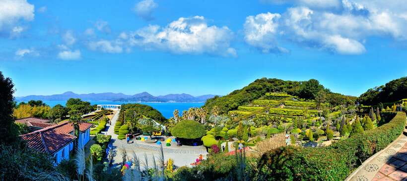 From Busan: Enchanting Oedo Island Day Tour with Windy Hill - Oedo Island and Windy Hill: the coast-meets-gardens idea that makes sense