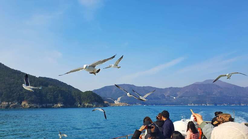 From Busan: Enchanting Oedo Island Day Tour with Windy Hill - Windy Hill: your 360-degree style photo break