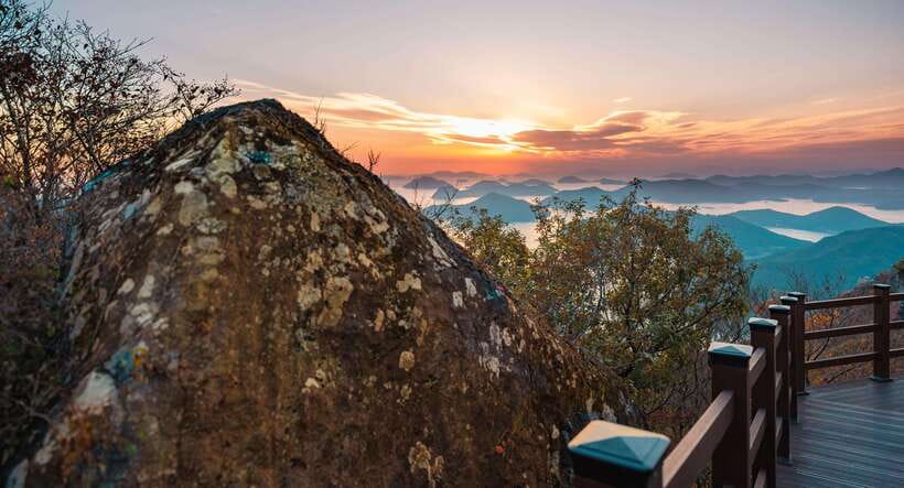 From Busan: Enchanting Oedo Island Day Tour with Windy Hill - Lunch break on your own: plan ahead to match your diet