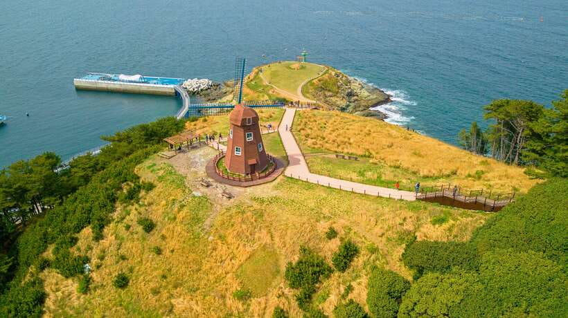 From Busan: Enchanting Oedo Island Day Tour with Windy Hill - Guides make the difference, especially on a day this packed