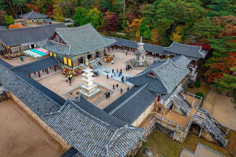 From Busan: Gyeongju Full-Day Historical Tour - Price and Logistics: What You Are Paying For