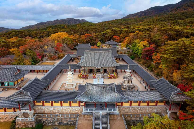 From Busan: Gyeongju Full-Day Historical Tour - Bulguksa Temple: The UNESCO Stop That Makes the Day Feel Real