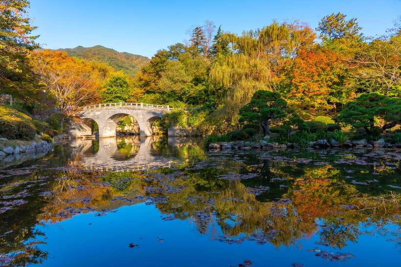 From Busan: Gyeongju Historical Day Tour with Sky Capsule - Daereungwon Tomb Complex plus Hwangnidan-gil dinner street energy