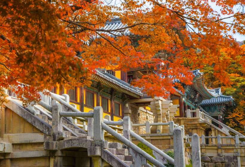 From Busan: Gyeongju UNESCO World Heritage Guided Day Tour - Key things I’d bet on before you book