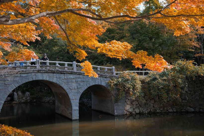 From Busan: Gyeongju UNESCO World Heritage Guided Day Tour - Yangdong Village vs Gyochon: pick your flavor of traditional Korea