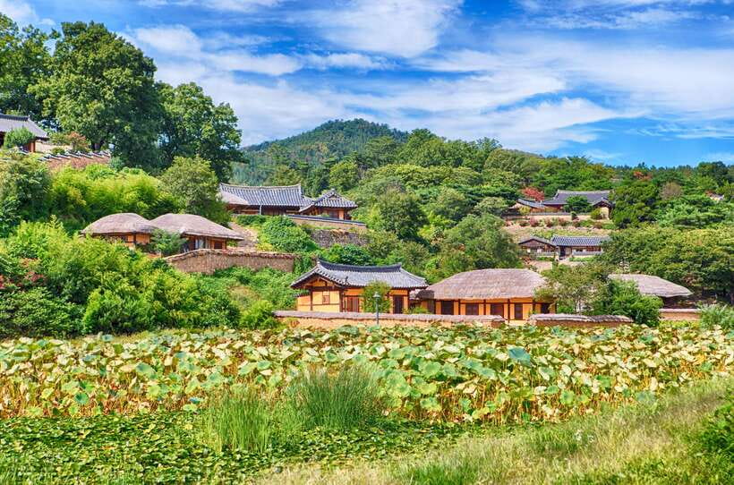 From Busan: Gyeongju UNESCO World Heritage Guided Day Tour - Package C: how the museum plan changes the pace