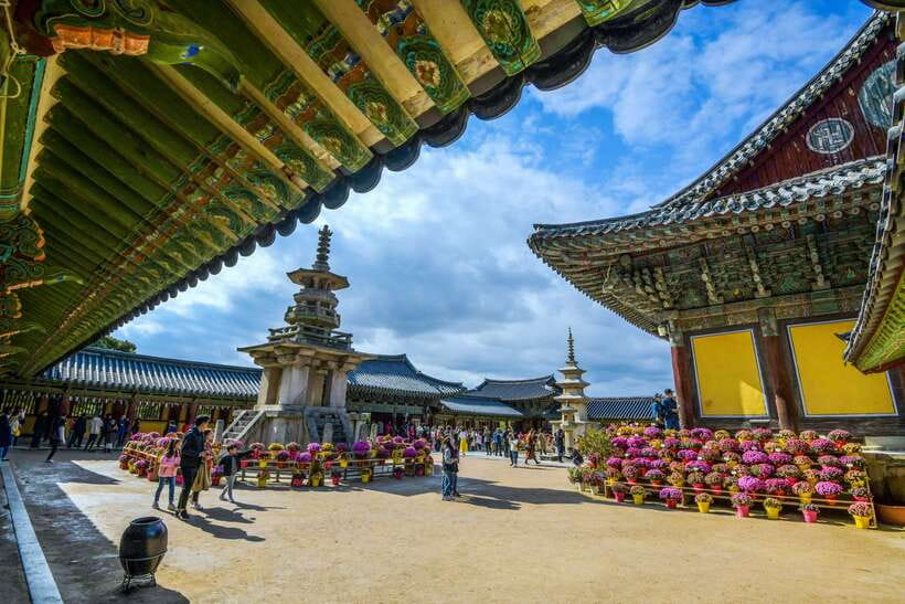 From Busan: Gyeongju UNESCO World Heritage Guided Day Tour - Guide power: why this tour feels smooth in real time