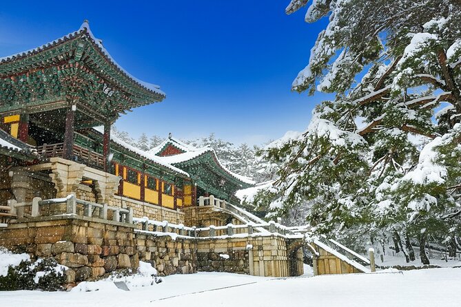 From Busan to Gyeongju UNESCO Legacy Tour with National Museum - Key highlights before you go