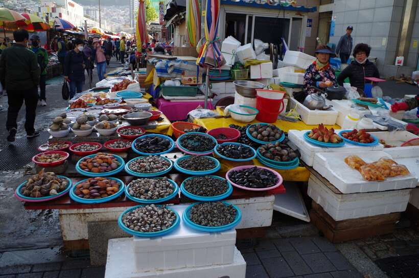 From Seoul: 5-Day Tour of Korea with UNESCO Sites - Day 2: Gwangju’s modern movement, then Suncheon Bay Garden, ending in Yeosu