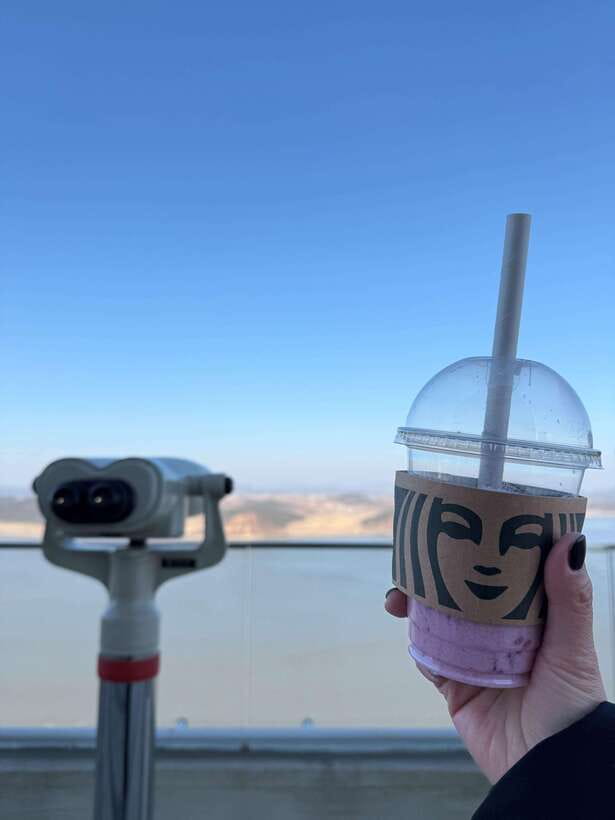 From Seoul: Aegibong Starbucks Observatory & DMZ View - Key Highlights You Should Know Before You Go