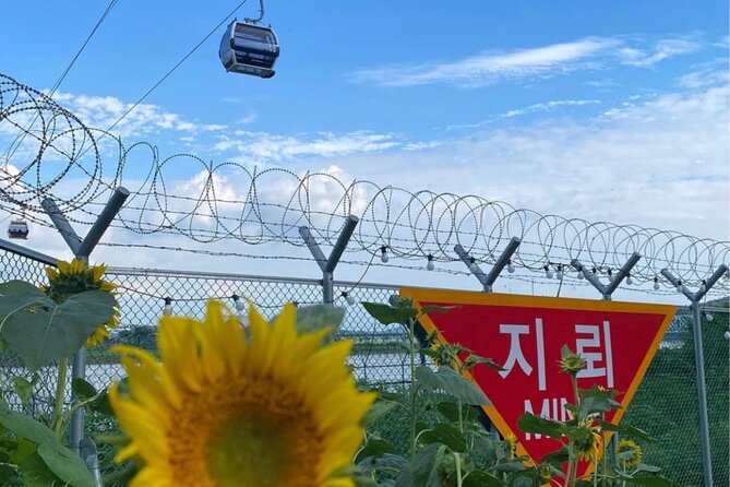 From Seoul: Cost-Benefit DMZ Shuttle Bus tour - Pyeonghwa Nuri Park and Beat 131 Bunker Exhibition Hall