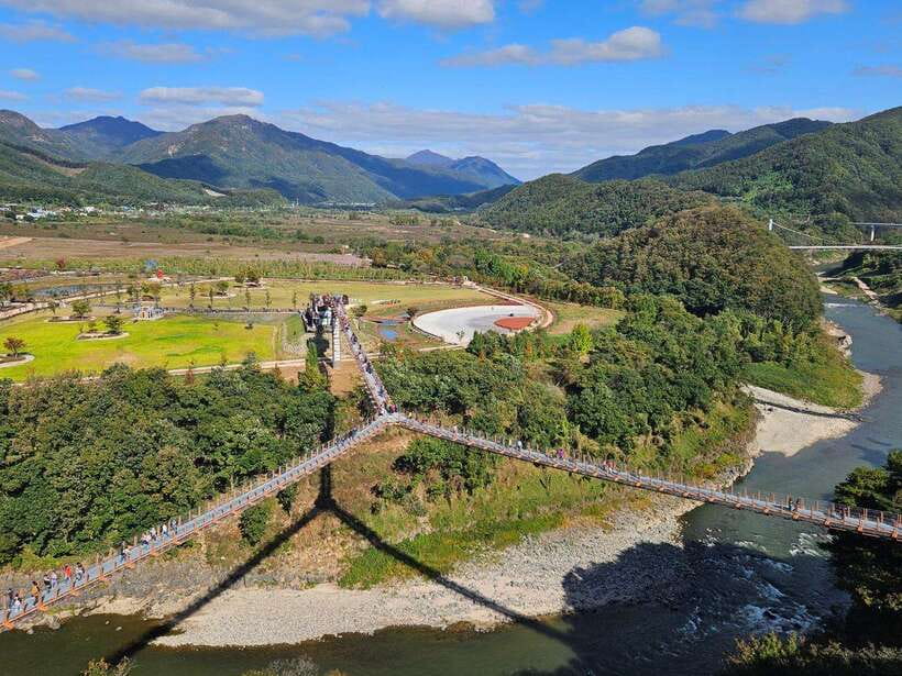 From Seoul: DMZ 2nd Tunnel & Y Shaped Suspension Bridge Tour - Peace Observatory and Woljeongri: the view and the context