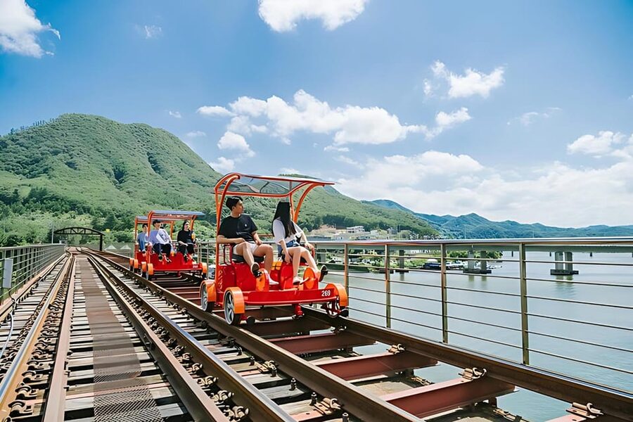 From Seoul: Full Day Trip to Alpaca Farm with Rail Bike - Who should book this Seoul to Gangwon alpaca and rail bike day trip