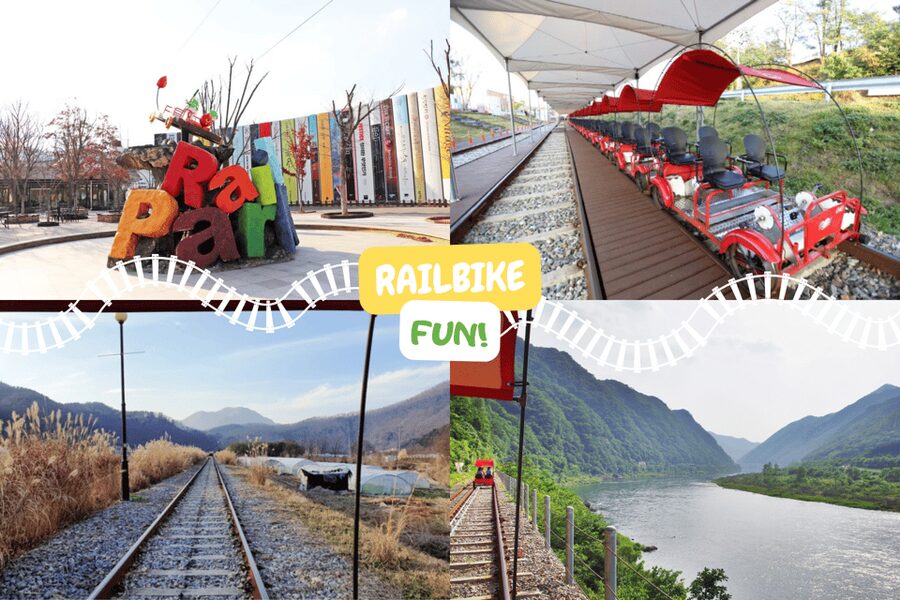 From Seoul: Full Day Trip to Alpaca Farm with Rail Bike - Leaving Seoul for Gangwon: why this mix works