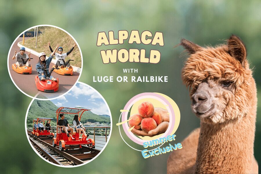 From Seoul: Full Day Trip to Alpaca Farm with Rail Bike - Gangchon Rail Park rail bike: downhill riding on an old track