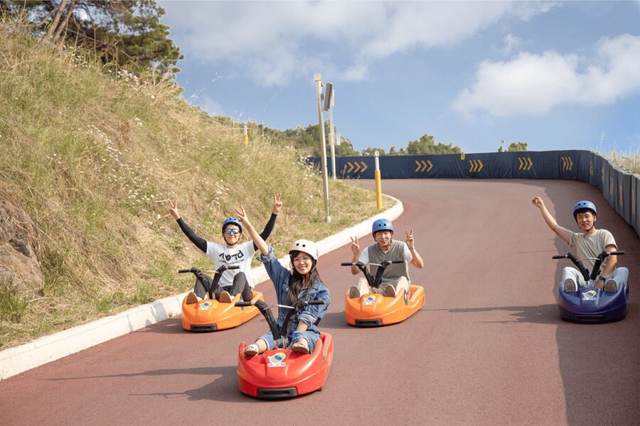 From Seoul: Full Day Trip to Alpaca Farm with Rail Bike - The rhythm of the day: a realistic 10-hour flow