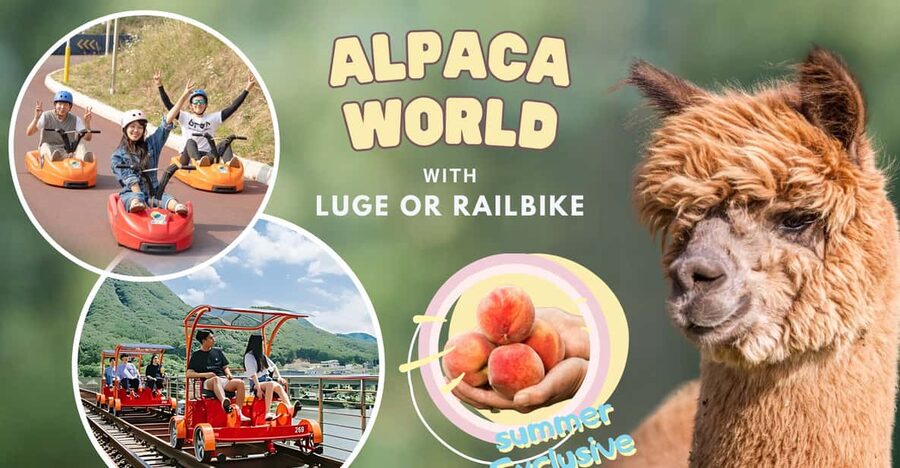 From Seoul: Full Day Trip to Alpaca Farm with Rail Bike - Price and value: is $59 a good deal?