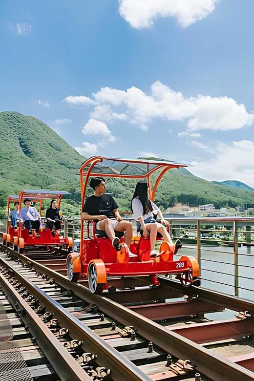 From Seoul: Full Day Trip to Alpaca Farm with Rail Bike - Guides, language, and how the day stays smooth