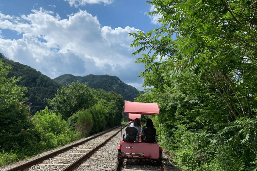 From Seoul: Full Day Trip to Alpaca Farm with Rail Bike - Alpaca World, Korea’s largest experience farm