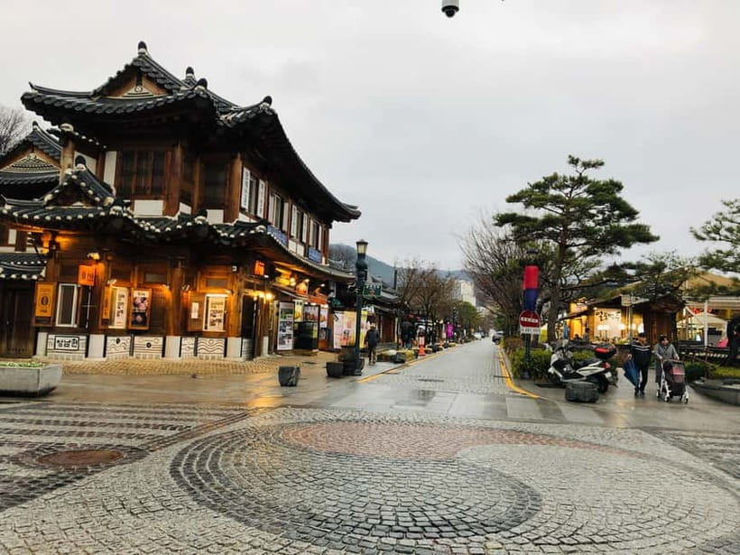 From Seoul: Korea Spring Cherry Blossom Day Tour - Timing Tips So You Don’t Waste Your Prime Blossom Light