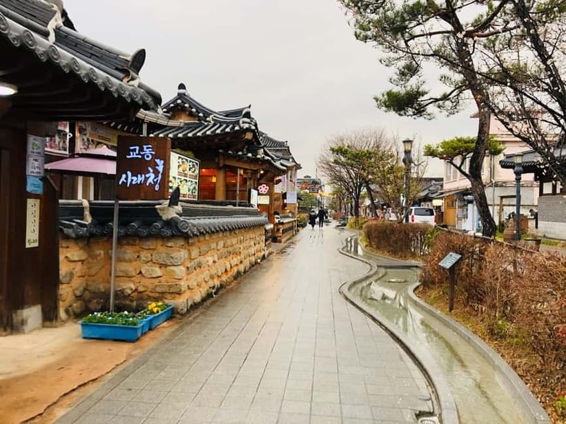 From Seoul: Korea Spring Cherry Blossom Day Tour - Seoraksan National Park Option: Trails for Different Fitness Levels