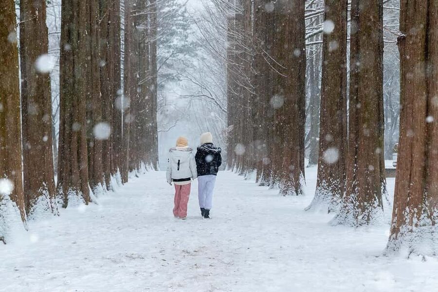 From Seoul: Nami Island, K-drama Garden & Rail Bike Day Tour - Why this Nami Island and Morning Calm route works from Seoul