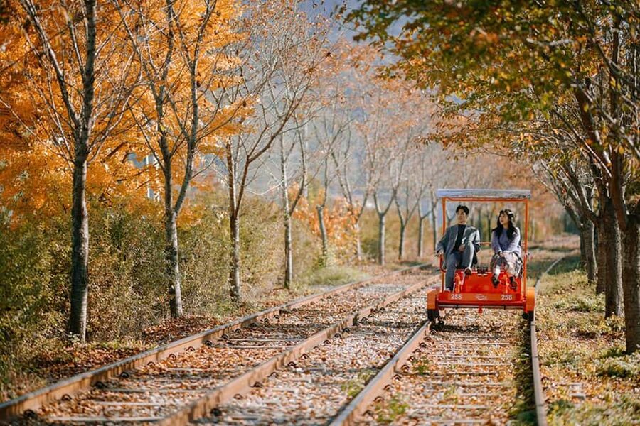 From Seoul: Nami Island, K-drama Garden & Rail Bike Day Tour - Timing in Seoul: pickup windows and the 10-hour rhythm