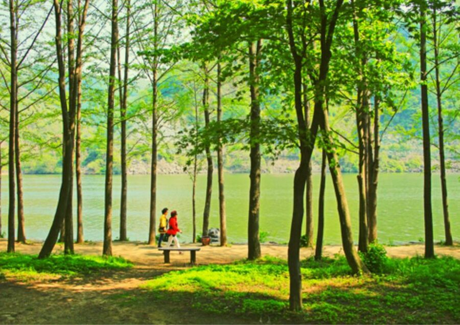 From Seoul: Nami Island, K-drama Garden & Rail Bike Day Tour - Gangchon Rail Park rail bike: the fun add-on that changes the pace