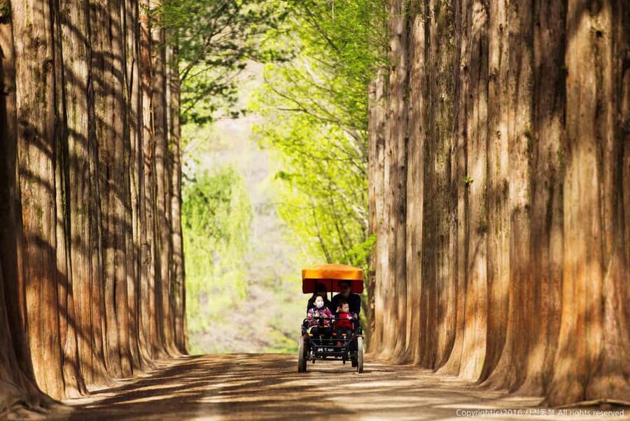 From Seoul: Nami Island, K-drama Garden & Rail Bike Day Tour - What to bring for a comfortable day out