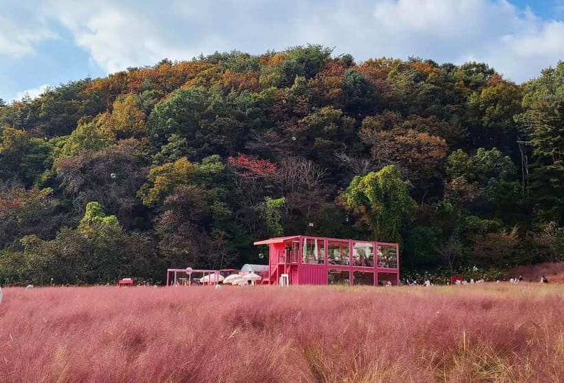 From Seoul: Pocheon, Sanjung Lake and Bidulginang Fall Trip - Key takeaways before you go