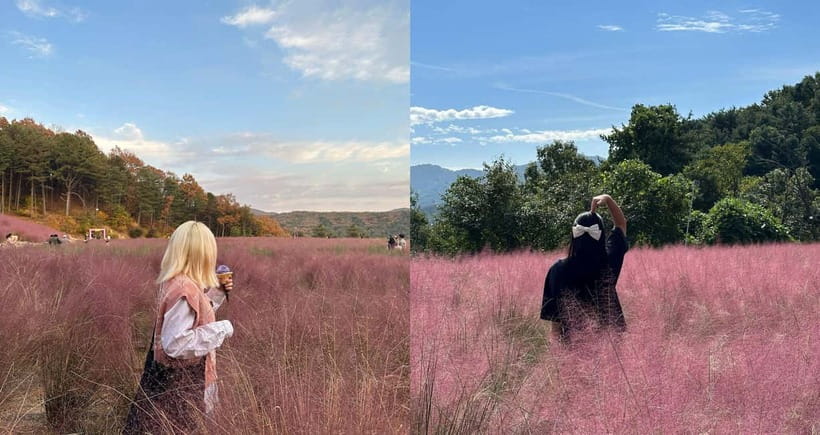 From Seoul: Pocheon, Sanjung Lake and Bidulginang Fall Trip - Seoul to the countryside: the part you do not have to plan
