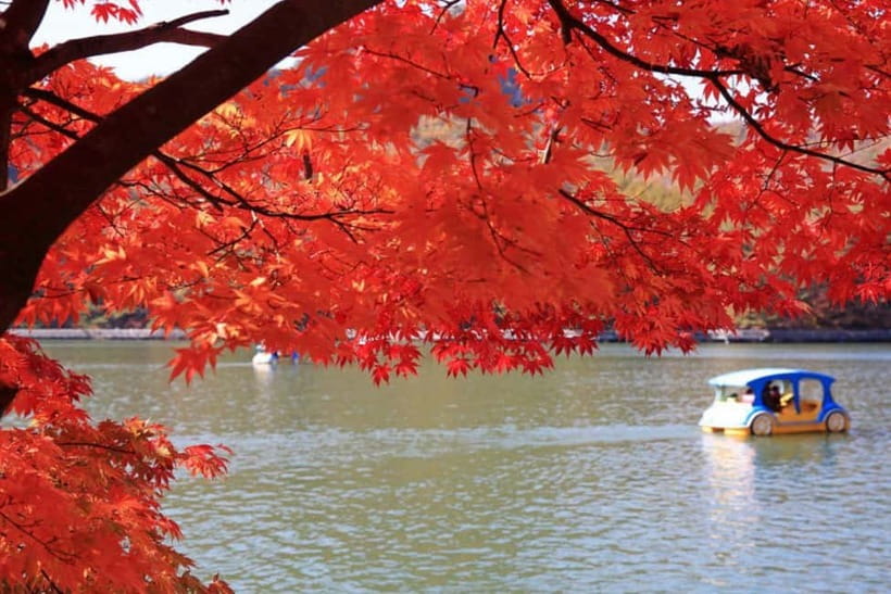 From Seoul: Pocheon, Sanjung Lake and Bidulginang Fall Trip - Sunday crowds and other reality checks