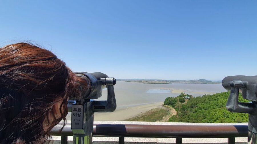 From Seoul: Private DMZ and Odusan Observatory Full-Day Tour - Key highlights to look for on this DMZ day